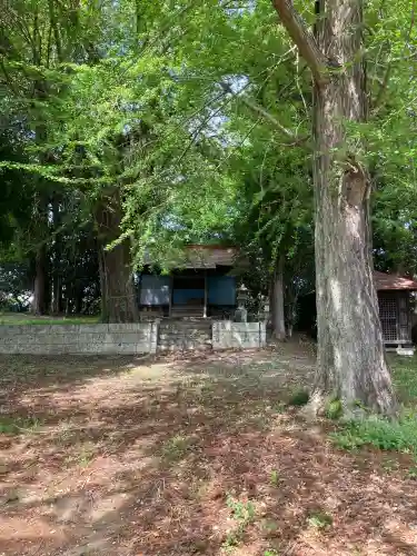川中子熊野神社の{uncategorized: "未分類", other: "その他", undefined: "問題あり", building: "その他建物", grave: "お墓", sacred_gate: "鳥居", guardian: "狛犬", statue: "像", buddha: "仏像", history: "歴史", nature: "自然", garden: "庭園", animal: "動物", pagoda: "塔", temizu: "手水舎", mountain_gate: "山門・神門", sanctuary: "本殿・本堂", subordinate: "末社・摂社", art: "芸術", scenery: "景色", jizo: "地蔵", ema: "絵馬", goshuin: "御朱印", omikuji: "おみくじ", items: "授与品その他", amulet: "お守り", goshuincho: "御朱印帳", eats: "食事", festival: "お祭り", votive_dance: "神楽", shichigosan: "七五三参", wedding: "結婚式", experience: "体験その他", initially: "初詣", around: "周辺", anti_infection: "感染症対策"}