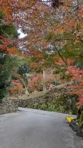 興聖寺（興聖寶林禅寺）の自然