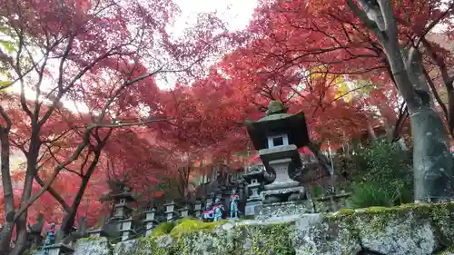 大山寺(神奈川県)
