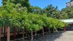 日枝神社(東京都)