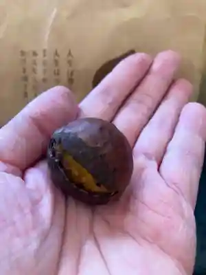 笠間稲荷神社(茨城県)