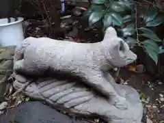 讃岐小白稲荷神社の狛犬