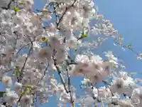 平潟神社(新潟県)