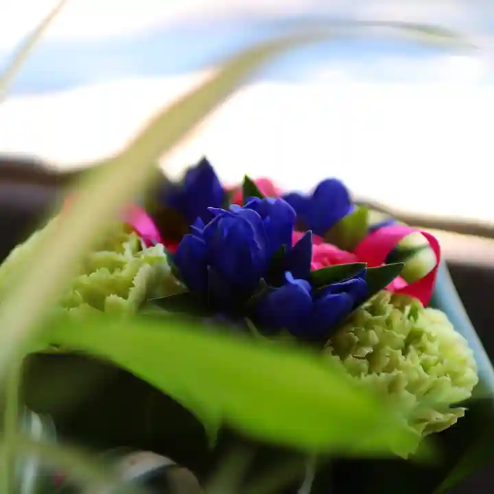 三津厳島神社の自然