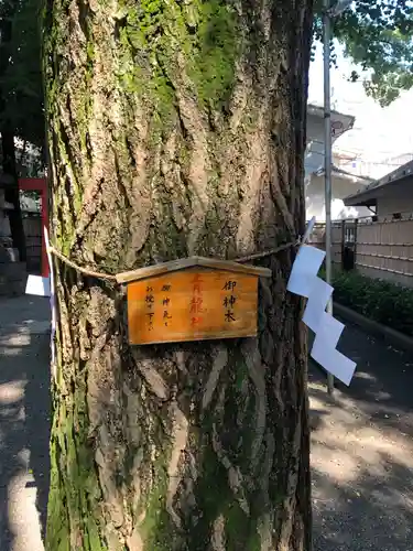 田無神社の自然