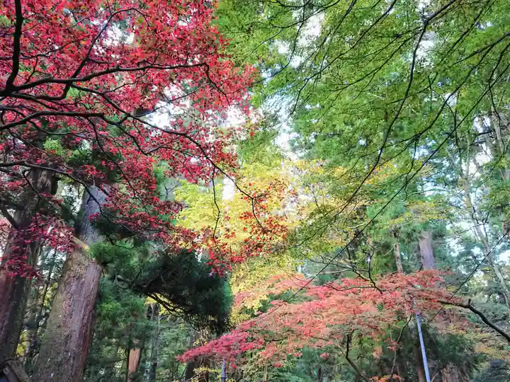 最乗寺(道了尊)の自然
