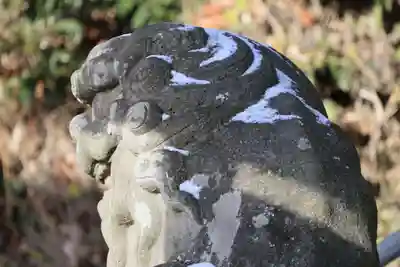 阿久津「田村神社」（郡山市阿久津町）旧社名：伊豆箱根三嶋三社の狛犬