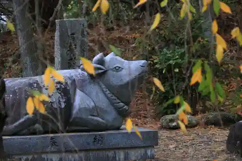 豊景神社の狛犬