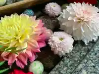 滑川神社 - 仕事と子どもの守り神の手水舎