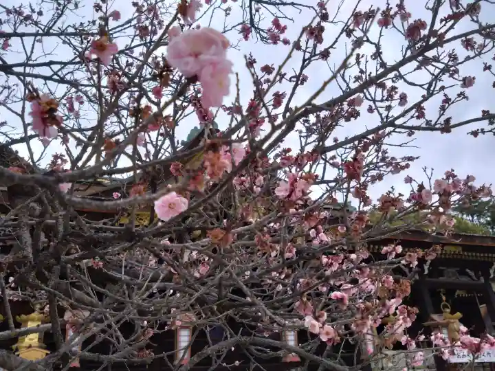 北野天満宮の{uncategorized: "未分類", other: "その他", undefined: "問題あり", building: "その他建物", grave: "お墓", sacred_gate: "鳥居", guardian: "狛犬", statue: "像", buddha: "仏像", history: "歴史", nature: "自然", garden: "庭園", animal: "動物", pagoda: "塔", temizu: "手水舎", mountain_gate: "山門・神門", sanctuary: "本殿・本堂", subordinate: "末社・摂社", art: "芸術", scenery: "景色", jizo: "地蔵", ema: "絵馬", goshuin: "御朱印", omikuji: "おみくじ", items: "授与品その他", amulet: "お守り", goshuincho: "御朱印帳", eats: "食事", festival: "お祭り", votive_dance: "神楽", shichigosan: "七五三参", wedding: "結婚式", experience: "体験その他", initially: "初詣", around: "周辺", anti_infection: "感染症対策"}