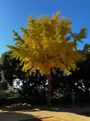 草刈大宮神社(千葉県)