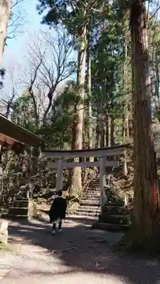 十和田神社(青森県)