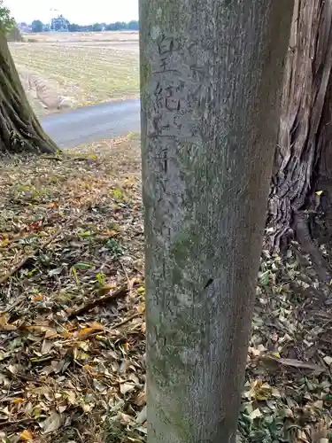 星宮神社(幕田町)(栃木県)