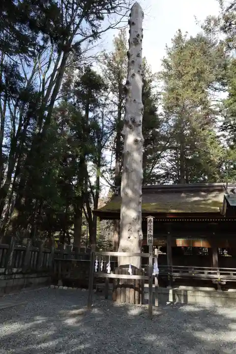 諏訪大社下社春宮(長野県)