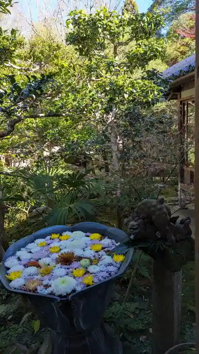 法然院(京都府)