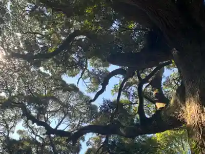 金刀比羅神社(茨城県)