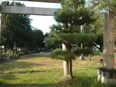 熊野八幡神社の建物その他