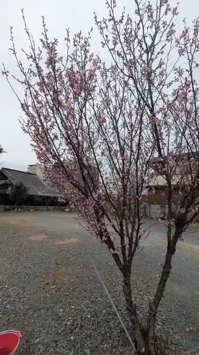 本法寺(京都府)