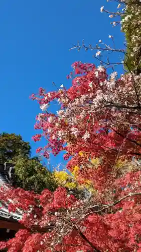 赤山禅院の景色