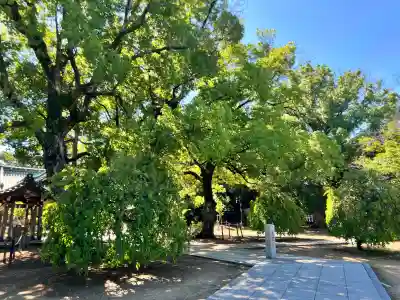屯倉神社(大阪府)
