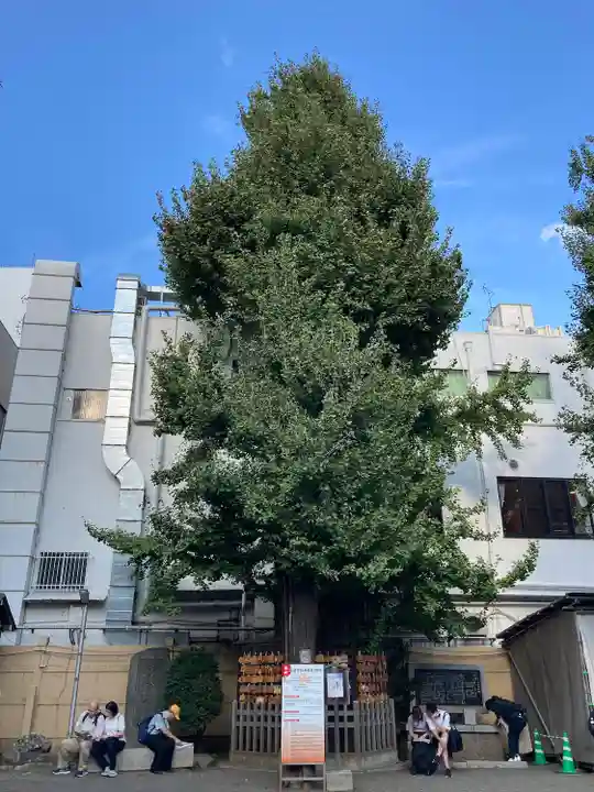 天祖神社(東京都)