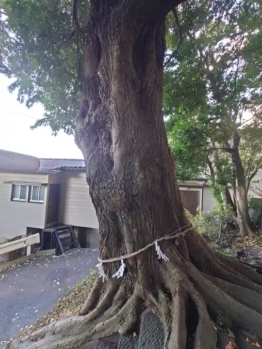 天照大神(神奈川県)