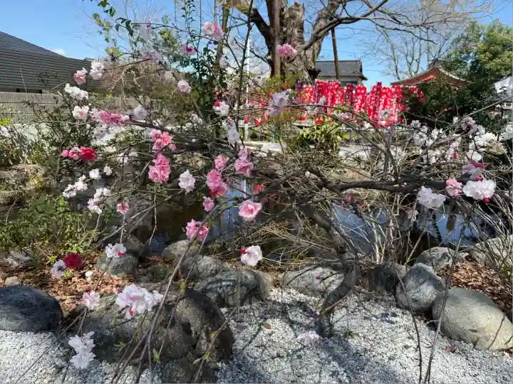 秩父今宮神社(埼玉県)