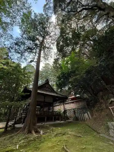 葛木御歳神社の{uncategorized: "未分類", other: "その他", undefined: "問題あり", building: "その他建物", grave: "お墓", sacred_gate: "鳥居", guardian: "狛犬", statue: "像", buddha: "仏像", history: "歴史", nature: "自然", garden: "庭園", animal: "動物", pagoda: "塔", temizu: "手水舎", mountain_gate: "山門・神門", sanctuary: "本殿・本堂", subordinate: "末社・摂社", art: "芸術", scenery: "景色", jizo: "地蔵", ema: "絵馬", goshuin: "御朱印", omikuji: "おみくじ", items: "授与品その他", amulet: "お守り", goshuincho: "御朱印帳", eats: "食事", festival: "お祭り", votive_dance: "神楽", shichigosan: "七五三参", wedding: "結婚式", experience: "体験その他", initially: "初詣", around: "周辺", anti_infection: "感染症対策"}