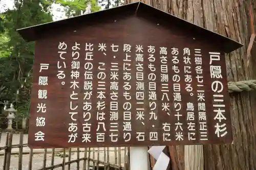戸隠神社中社(長野県)