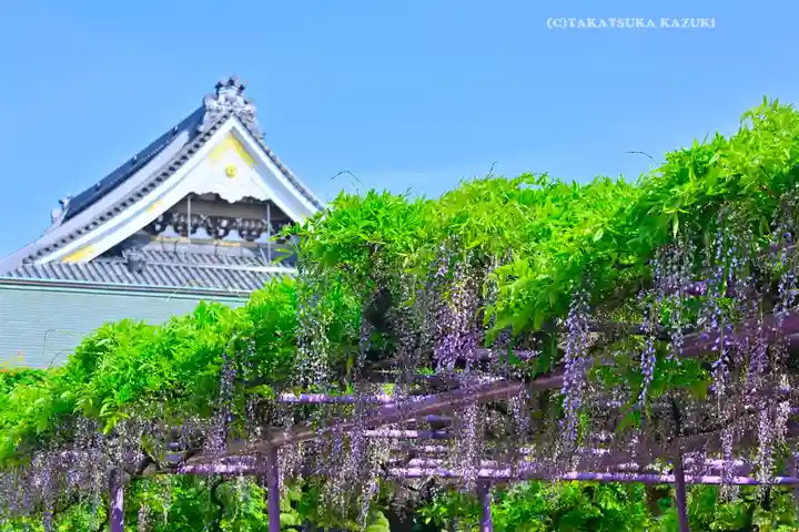 三学院(埼玉県)