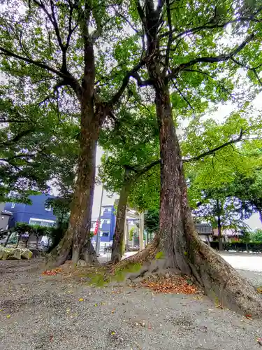 貴船社（貴船町）の自然