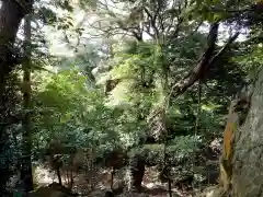 大甕神社(茨城県)