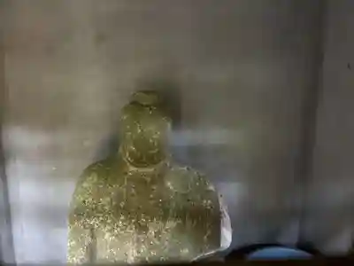 飯尾天神社(徳島県)