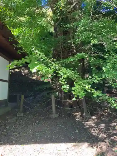 来迎院(奈良県)