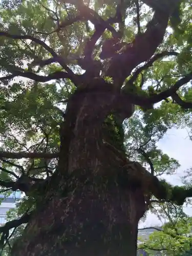北岡神社(熊本県)