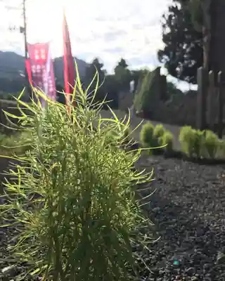 高司神社〜むすびの神の鎮まる社〜(福島県)