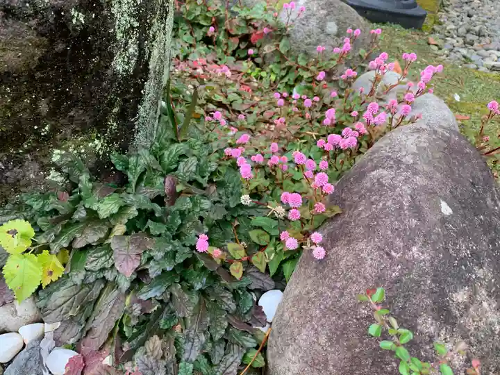今市報徳二宮神社の自然