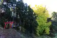 乙宿禰神社の鳥居