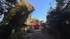 許波多神社（五ケ庄鎮座）(京都府)