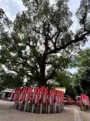 住吉大社(大阪府)