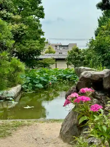 東寺（教王護国寺）(京都府)
