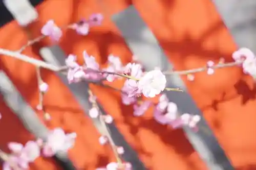 瀧宮神社(広島県)