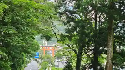 箱根神社(神奈川県)