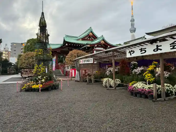 亀戸天神社(東京都)