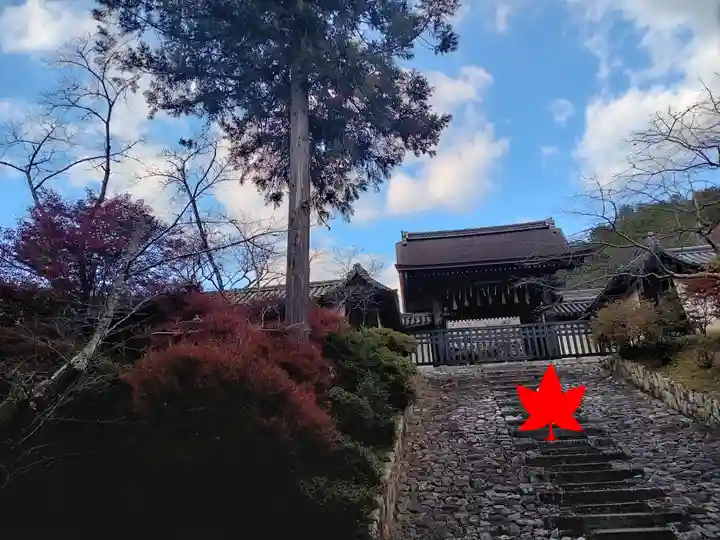 毘沙門堂門跡のその他建物