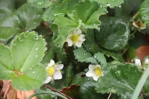 阿邪訶根神社の庭園