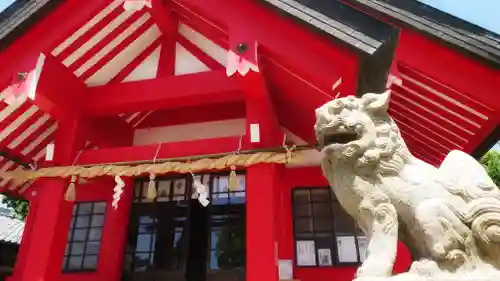 住吉神社（下津住吉町）の本殿・本堂