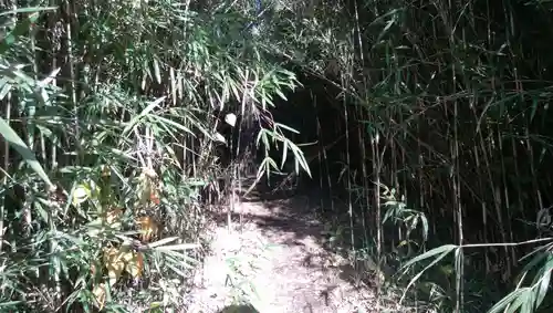 神社の周辺