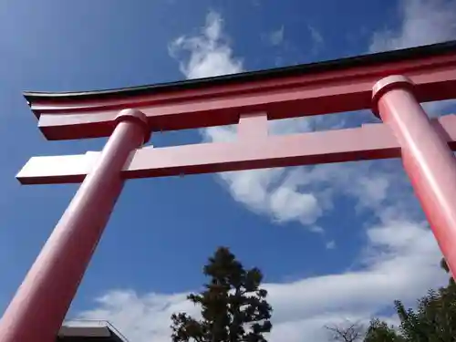 東伏見稲荷神社の鳥居