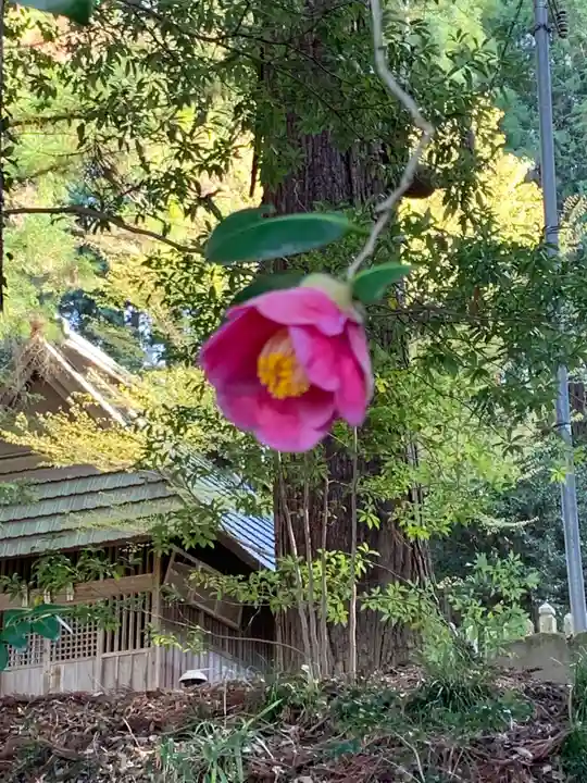 屏風八王子神社の自然
